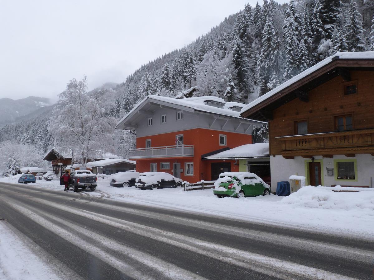 Alpen Appartements Viehhofen - Incl Sommercard Zell Am See Viehhofen Exterior foto
